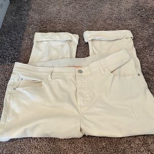 Evri Capri Khaki Capris